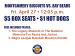 Biscuits Baseball2